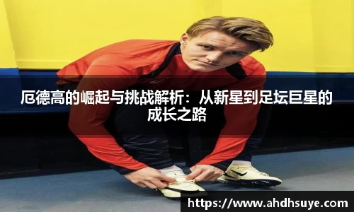 yy易游mile官网入口